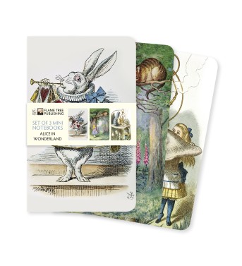 Alice's Adventures in Wonderland Set of 3 Mini Notebooks